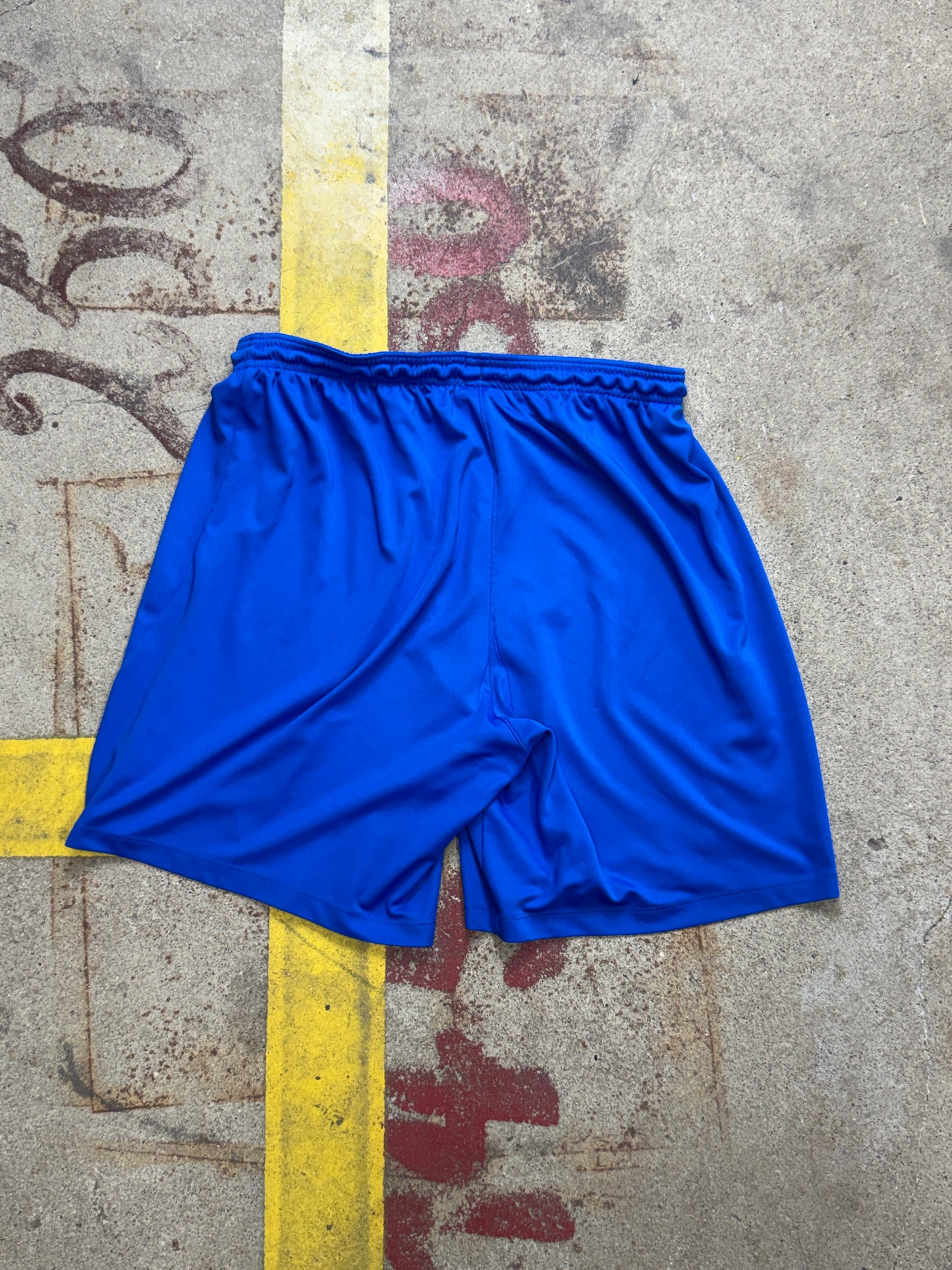 Nike Shorts | M