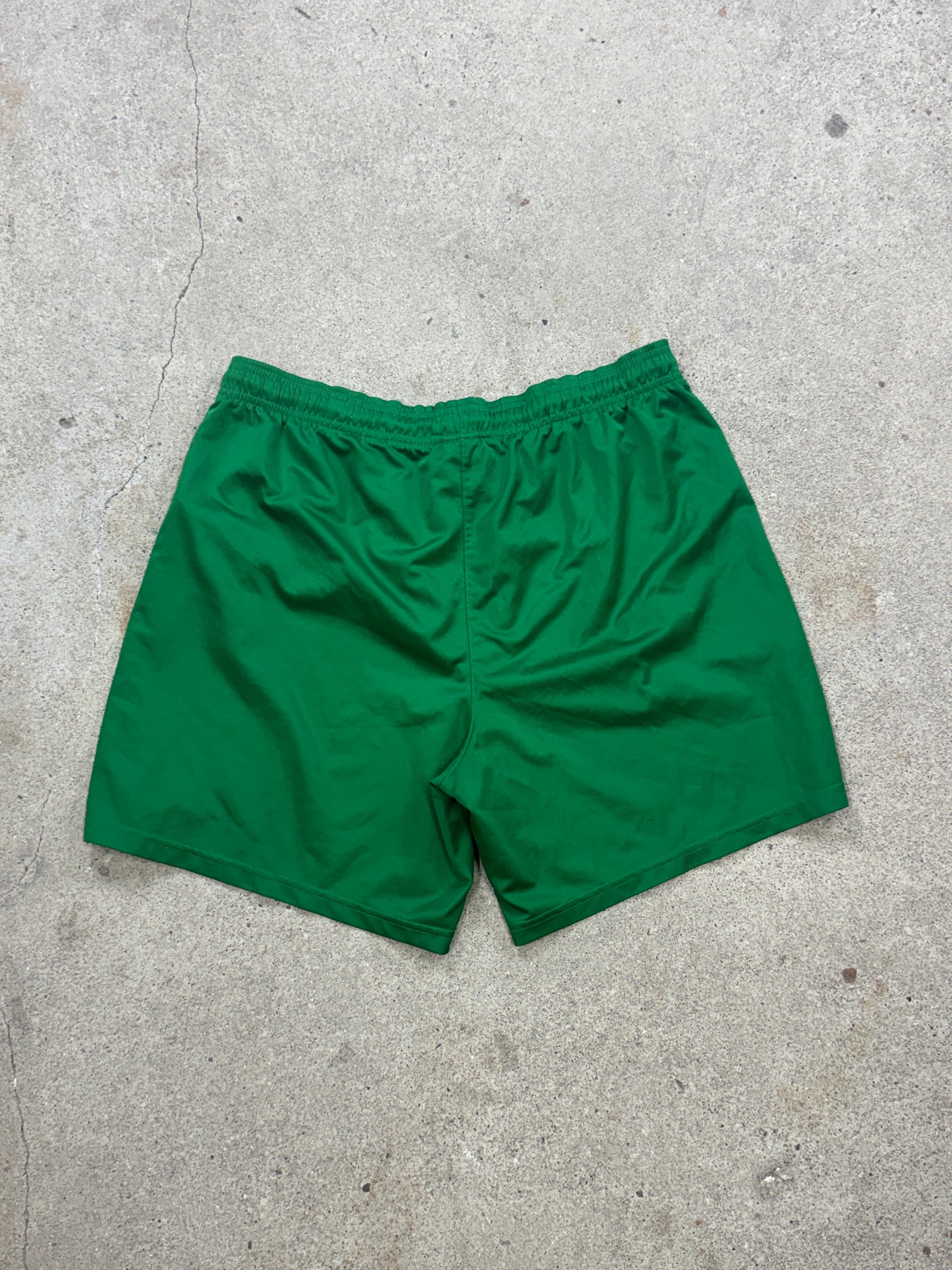 Nike Shorts | L