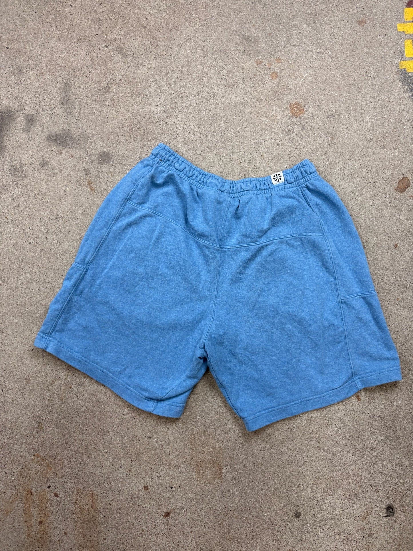 Nike Shorts | L