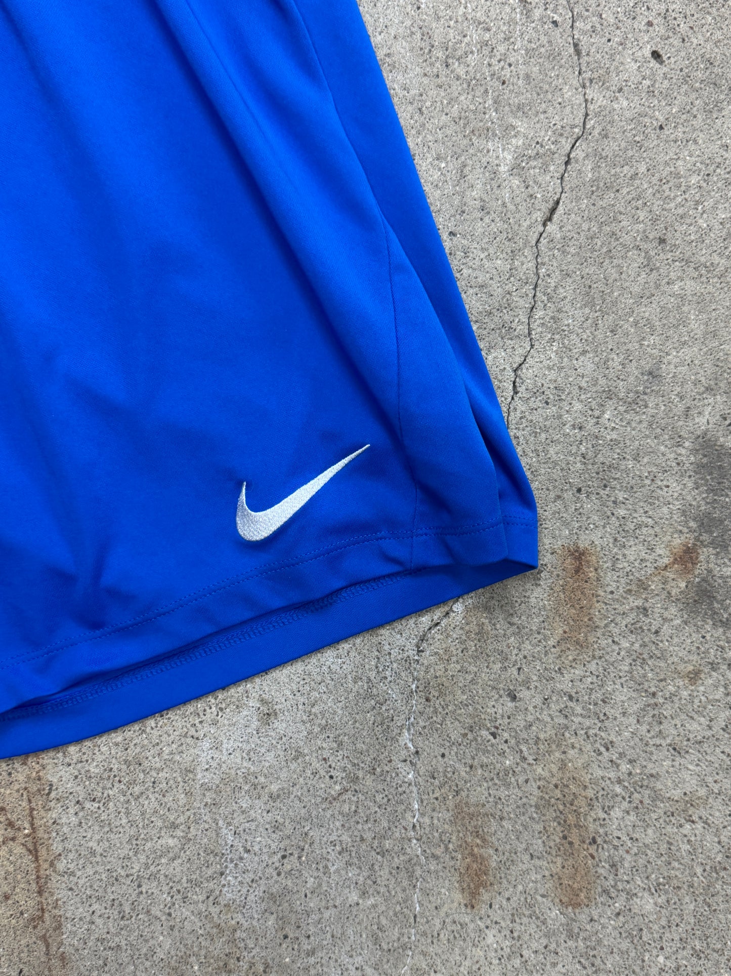 Nike Shorts | M