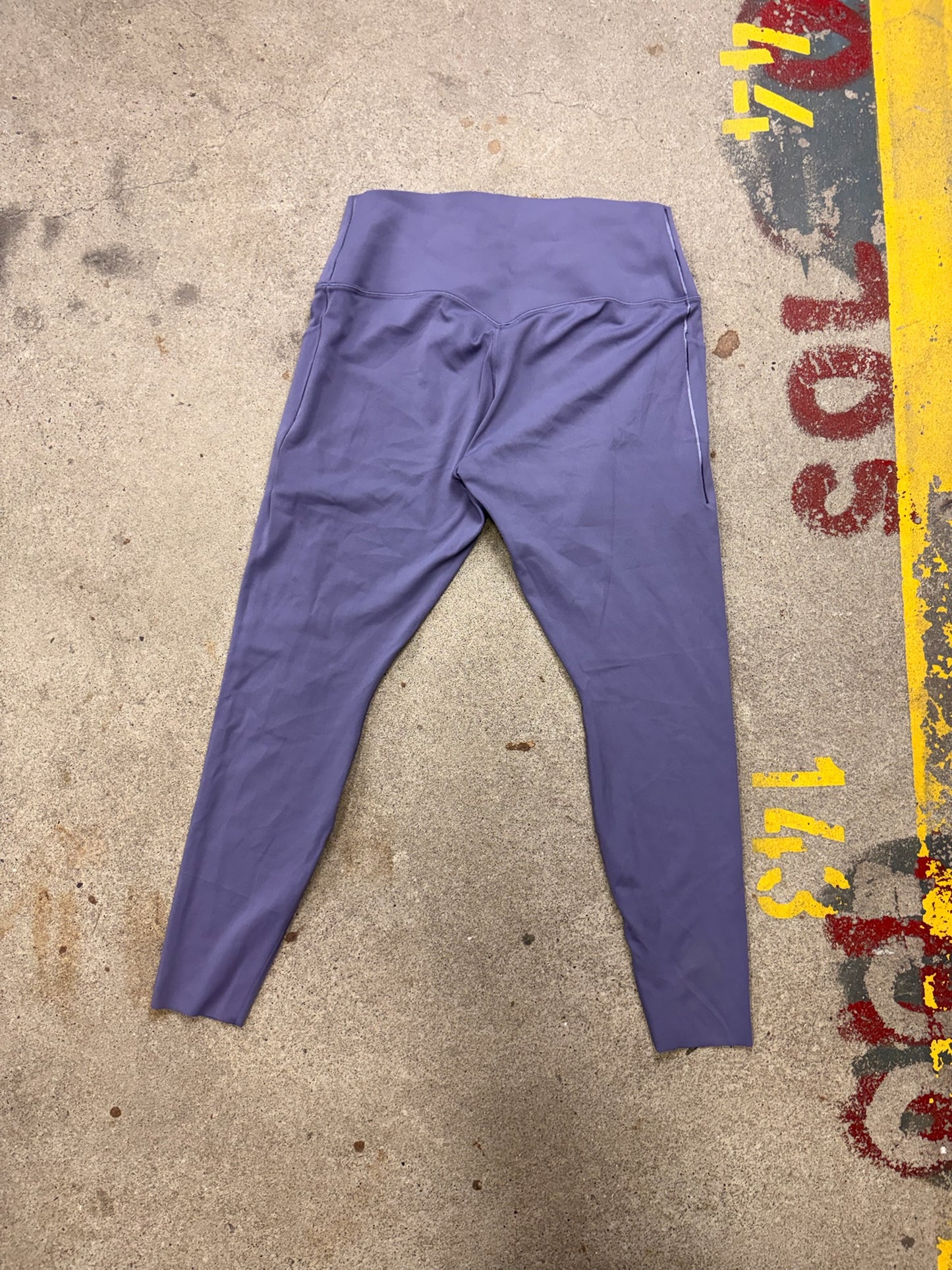 Nike Sport Leggings | L