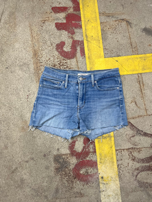 Levi’s Shorts (M)
