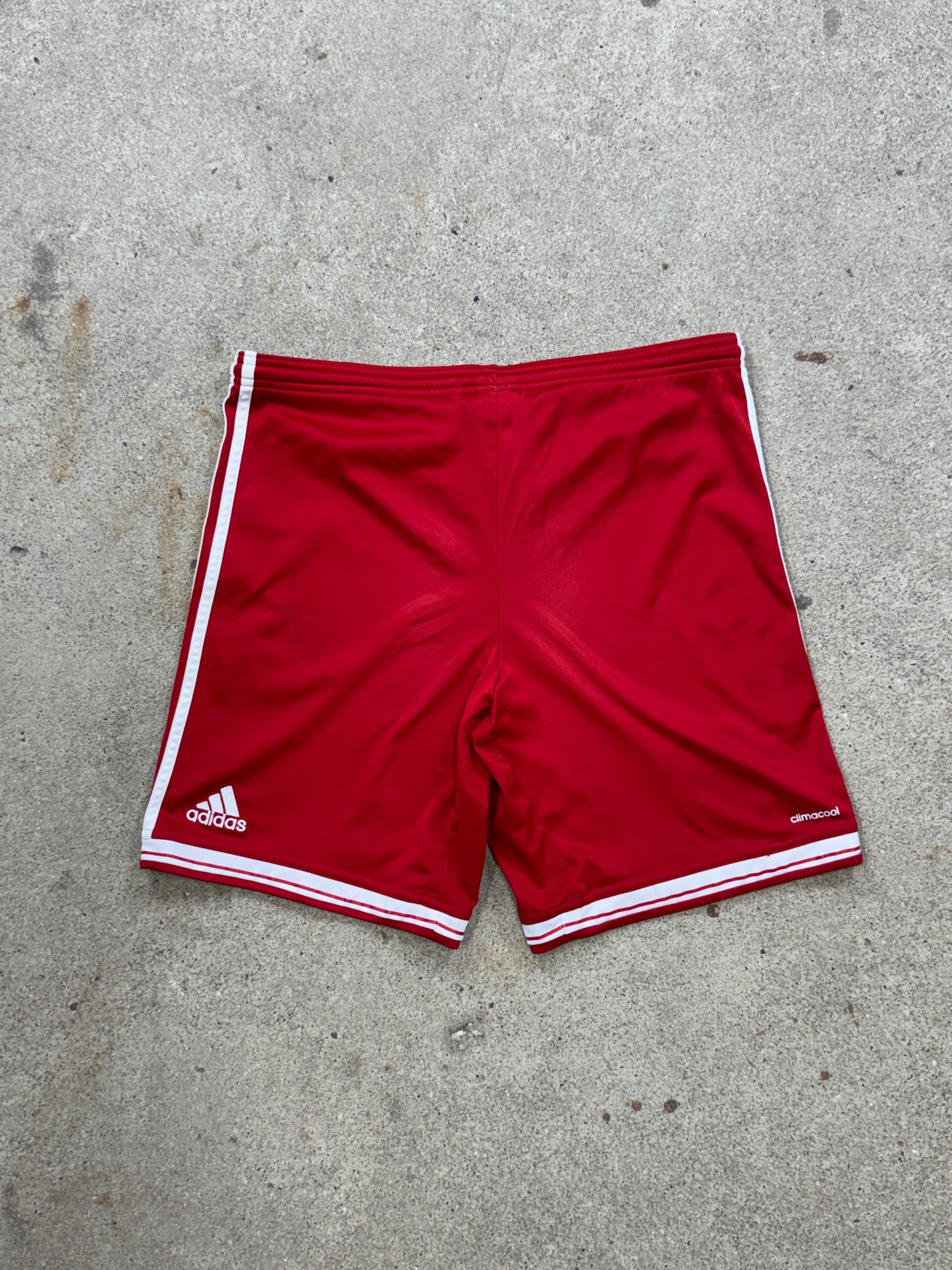 Bayern München Adidas Shorts | 174